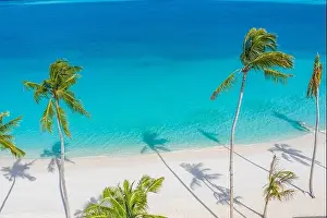 Aerial paradise scenery. Tropical aerial landscape, seascape with palm leaves shadows amazing sea and lagoon beach, tropical nature. Exotic tourism