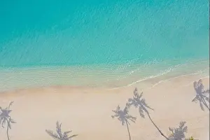 Aerial paradise scenery. Tropical aerial landscape, seascape with palm leaves shadows amazing sea and lagoon beach, tropical nature. Exotic tourism