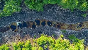 Riverbed Prints: An aerial perspective showcases a winding river with circular natural pools surrounded by lush green foliage