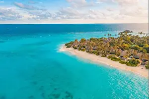 Aerial photo of beautiful paradise tropical beach on island. Summer travel vacation concept. Aerial drone view of beach palm trees with turquoise sea