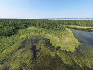Aerial photo panorama of forest bog in the Karakansky pine forest near the shore of the Ob reservoir. Siberia, Russia