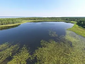Boggy Prints: Aerial photo panorama of forest boggy lake in the Karakansky pine forest near the shore of the Ob reservoir