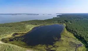 Aerial photo panorama of forest boggy lake in the Karakansky pine forest near the shore of the Ob reservoir