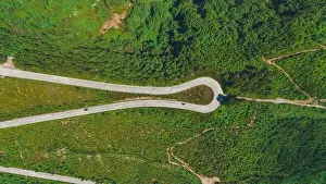 Winding Road Prints: Aerial shot captures the verdant landscape of Azores with winding roads curving through lush greenery