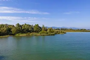 Bodensee Prints: Aerial shot with a drone of the local recreation area at the Wocherhafen at the Lake Constance in Austria