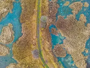 Dron Prints: An aerial shot of the landscape with small lake surrounded by trees and field