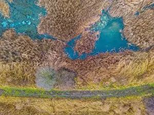 Dron Prints: An aerial shot of the landscape with small lake surrounded by trees and field
