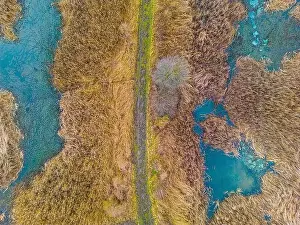 Dron Prints: An aerial shot of the landscape with small lake surrounded by trees and field