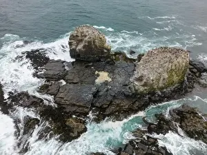 Surfers Prints: Aerial shot of the scenic birds rock at Punta de Lobos at Pichilemu, Chile