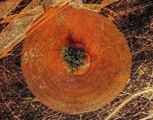 Cleared Prints: an aerial, top-down view of a burnt and ploughed field with a single tree in the center