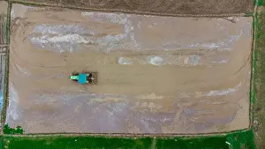 Rice Field Prints: Aerial Top-down view of a tractor ploughing muddy field
