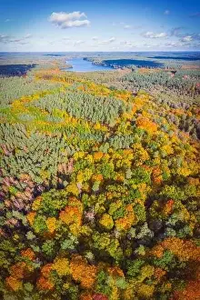 Saturated Prints: Aerial vertical panoramic view of vibrant color autumn forest and distant lake