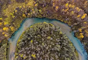 Aerial top view of amazing river between green and yellow trees in autumn during daytime