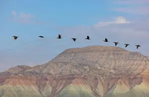 Aerial view of Ankara, Nallıhan Bird Paradise