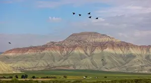 Yellow Mountain Prints: Aerial view of Ankara, Nallıhan Bird Paradise