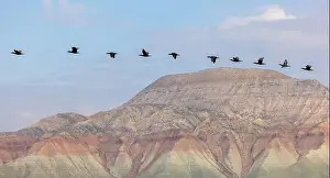 Yellow Mountain Prints: Aerial view of Ankara, Nallıhan Bird Paradise
