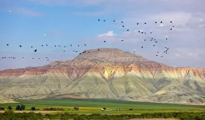 Aerial view of Ankara, Nallıhan Bird Paradise