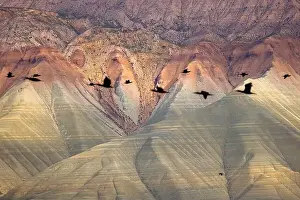 Aerial view of Ankara, Nallıhan Bird Paradise