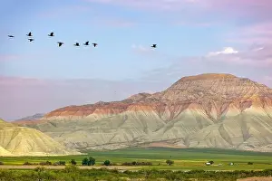Green Hills Prints: Aerial view of Ankara, Nallıhan Bird Paradise
