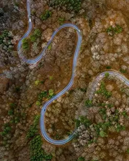 Aerial view of autumn forest with a curvy road. Captured from above with a drone in Bavaria, germany
