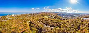 Aerial top down view of autumn forest with green and yellow trees