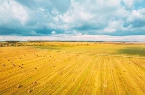 Aerial Landscape Collection: Aerial View Of Autumn Hay Rolls Straw Field Landscape. Haystacks, Hay Rolls. Harvest Season