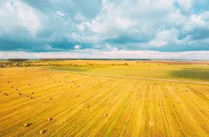 Aerial View Of Autumn Hay Rolls Straw Field Landscape. Haystacks, Hay Rolls. Harvest Season