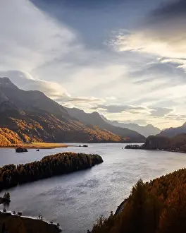 Aerial view on autumn lake Sils (Silsersee) in Swiss Alps. Colorful forest with orange larch and snowy mountains on background. Switzerland