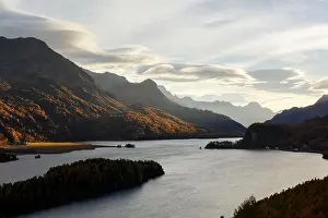 Aerial view on autumn lake Sils (Silsersee) in Swiss Alps mountains. Colorful forest with orange larch. Switzerland, Maloja region, Upper Engadine