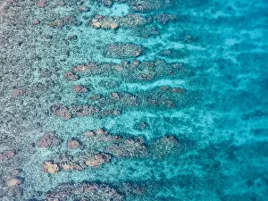 An aerial view of a beautiful coral reef on the edge of Turneffe Atoll off the coast of Belize. This area of the Caribbean is extremely biodiverse