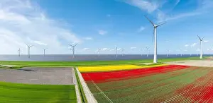 Wind Turbine Prints: aerial view of a beautiful landscape filled with colorful tulips and wind turbines