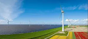 Wind Turbine Prints: aerial view of a beautiful landscape filled with colorful tulips and wind turbines