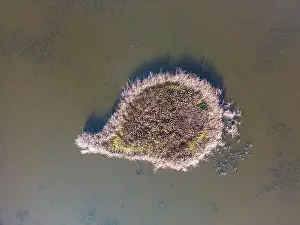 Serpentine Road Prints: Aerial view of beautiful smooth green waters of a lake on a sunny autumn day