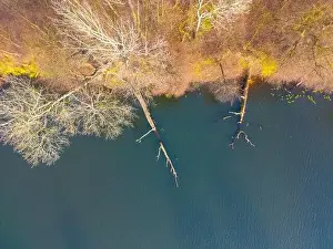 Serpentine Road Prints: Aerial view of beautiful smooth green waters of a lake on a sunny autumn day