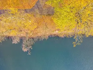 Serpentine Road Prints: Aerial view of beautiful smooth green waters of a lake on a sunny autumn day