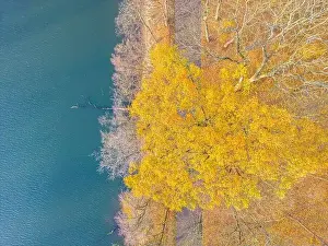 Serpentine Road Prints: Aerial view of beautiful smooth green waters of a lake on a sunny autumn day