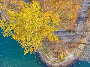 Aerial Shot Prints: Aerial view of beautiful smooth green waters of a lake on a sunny autumn day