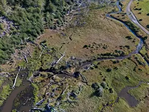 Tierra Del Fuego Prints: Aerial view of a beaver habitat in Reserva Lago Yeguin on the island Tierra del Fuego