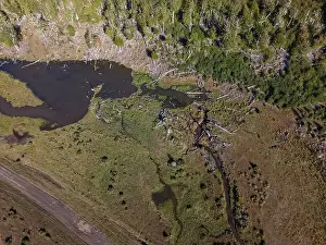 Tierra Del Fuego Prints: Aerial view of a beaver habitat in Reserva Lago Yeguin on the island Tierra del Fuego