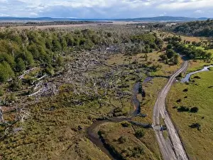 Tierra Del Fuego Prints: Aerial view of a beaver habitat in Reserva Lago Yeguin on the island Tierra del Fuego