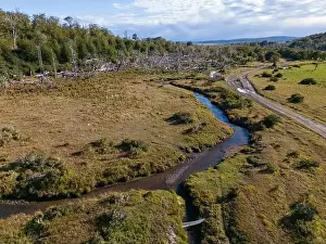 Aerial view of a beaver habitat in Reserva Lago Yeguin on the island Tierra del Fuego, Argentina, South America