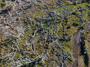 Tierra Del Fuego Prints: Aerial view of a beaver habitat in Reserva Lago Yeguin on the island Tierra del Fuego