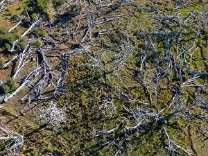 Tierra Del Fuego Prints: Aerial view of a beaver habitat in Reserva Lago Yeguin on the island Tierra del Fuego