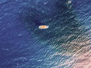 Baja California Sur Prints: An aerial view of a boat above a large school of Munk's Devil Rays aka Mobula Rays (Mobula munkiana)