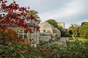 Dense Prints: An aerial view of buildings in Sheffield botanical garden