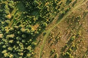 Crossover Prints: Aerial View Of Car Near Country Road Thgrough Forest And Green Meadow Landscape In Sunny Summer Morning