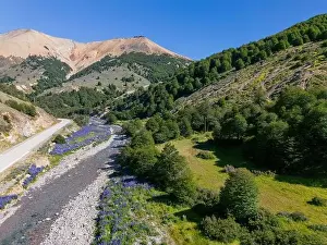 Aerial view of the Carretera Austral with a crystal clear creek along the road and forested hills