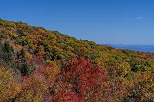 Vacation Destinations Prints: Aerial View Of The Changing Of The Leaves In The North Carolina Mountains
