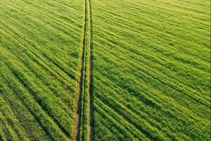 Aerial Landscape Collection: Aerial view of country road through green field rural landscape in summer