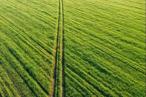 Aerial view of country road through green field rural landscape in summer. Top view of countryside road in summer field rural landscape from high
